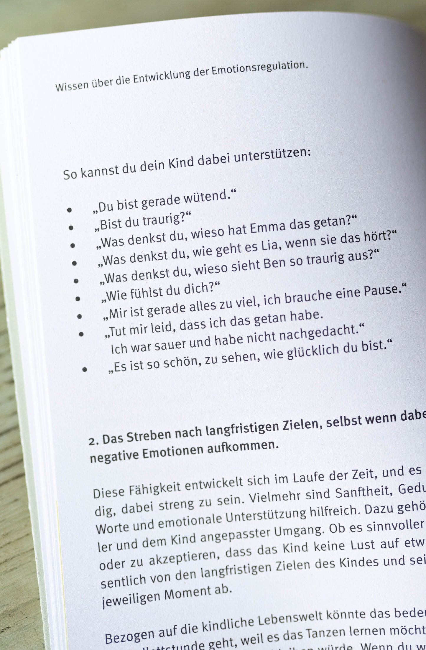 Buch "Gefühle von Kindern verstehen und begleiten"