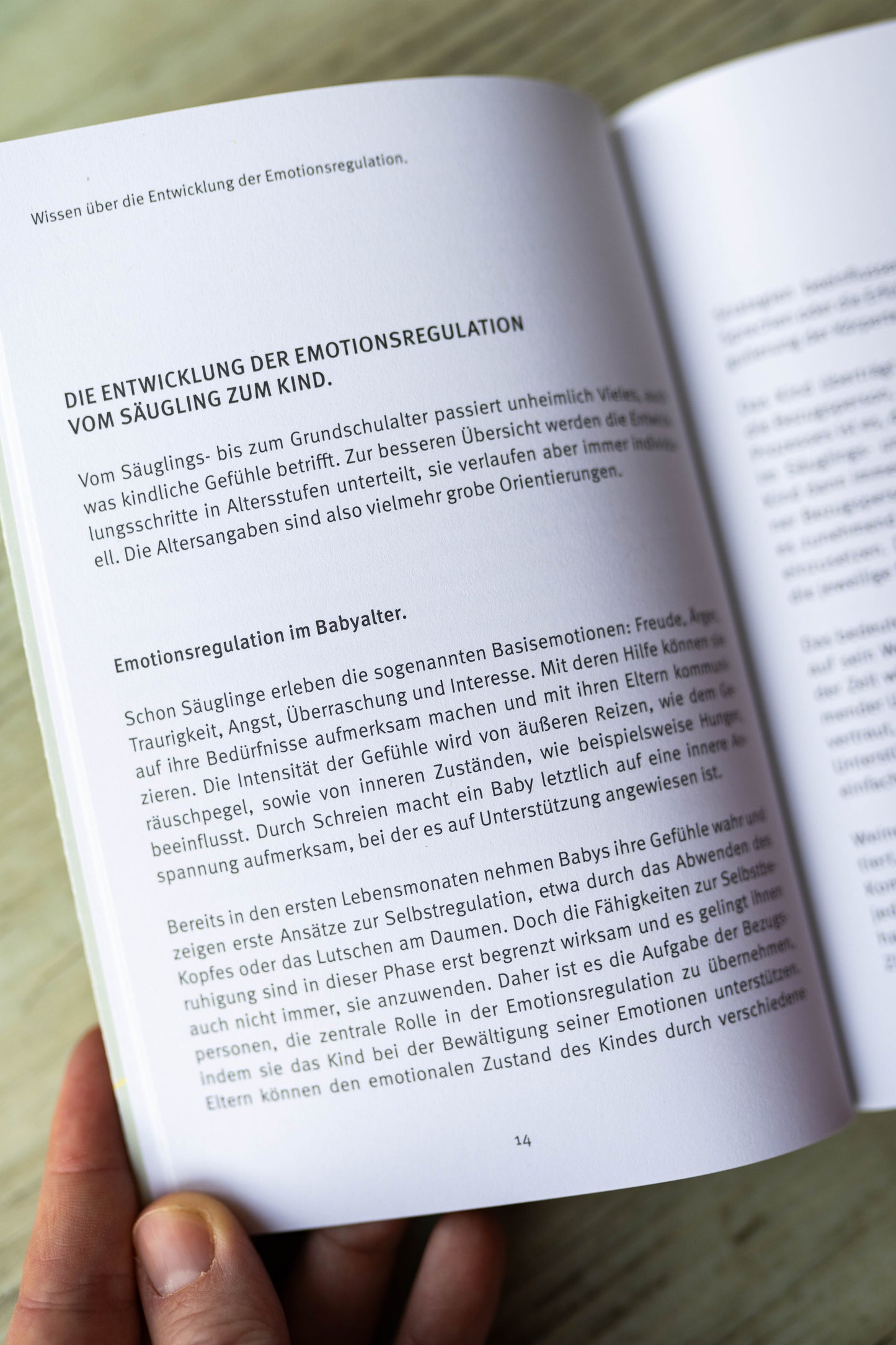 Buch "Gefühle von Kindern verstehen und begleiten"